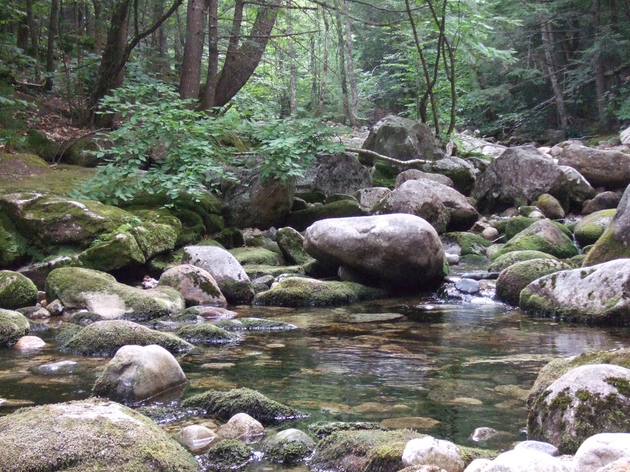 a quiet spot in a rock-strewn river